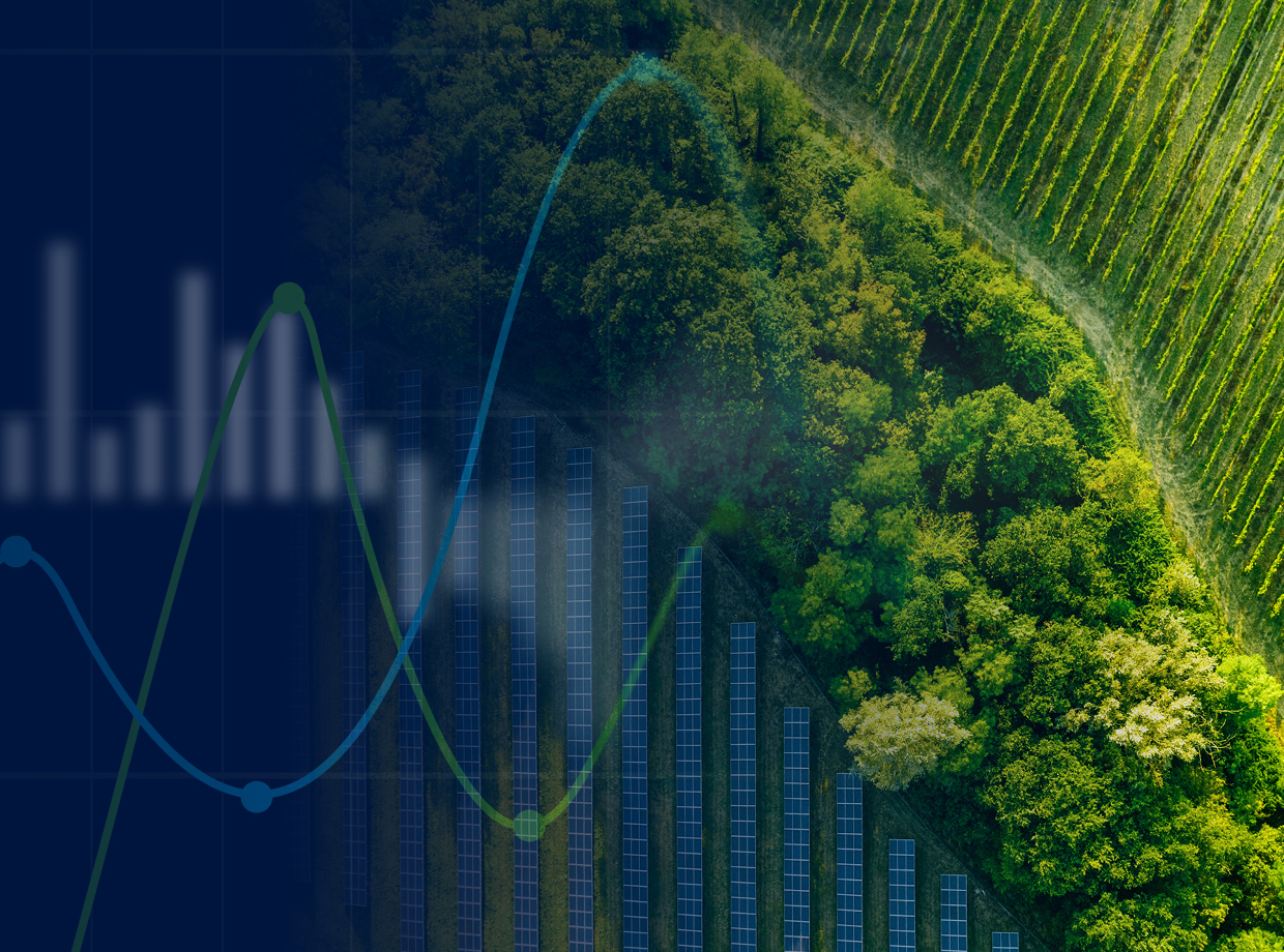 Sustainability report | The Real Economy 